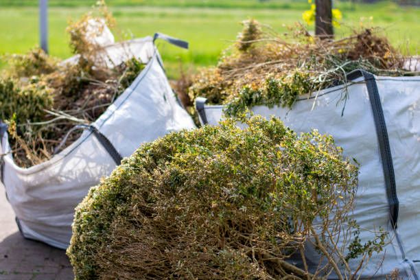 Best Appliance Removal  in Taos, NM